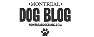 Montreal Dog Blog